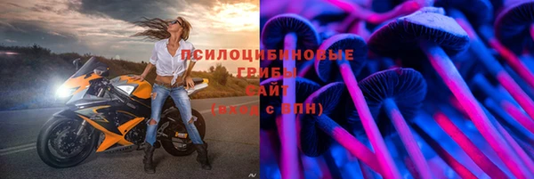 ешки Абинск