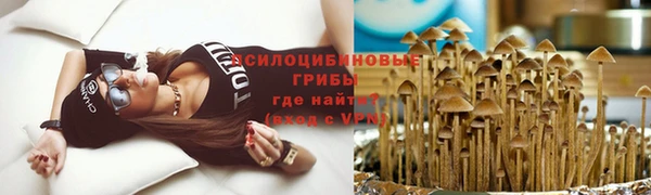 ешки Абинск