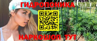 PSILOCYBIN Тула
