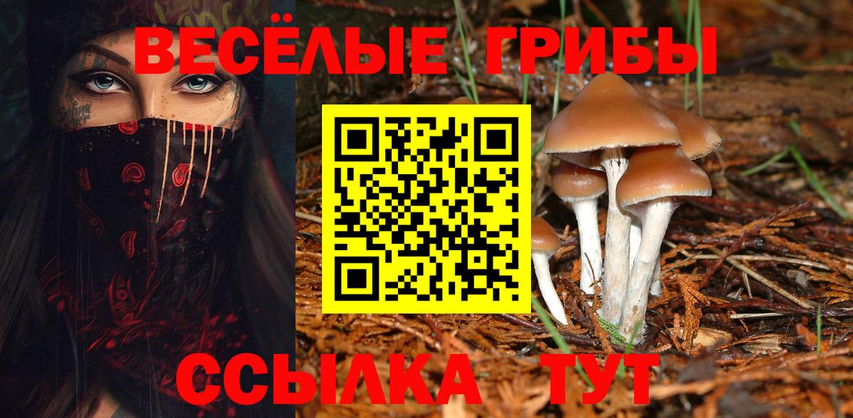 Троицк  Галлюциногенные грибы мухоморы  Вход с VPN 