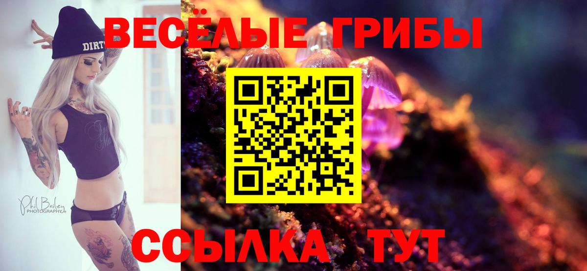 Псилоцибиновые грибы Cubensis Троицк